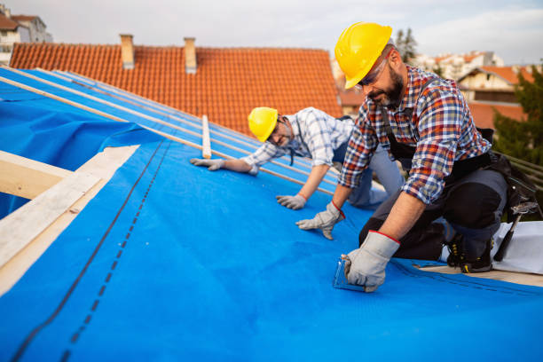 Best Storm Damage Roof Repair  in Childersburg, AL